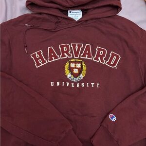 Champion Burgundy Harvard Hoodie